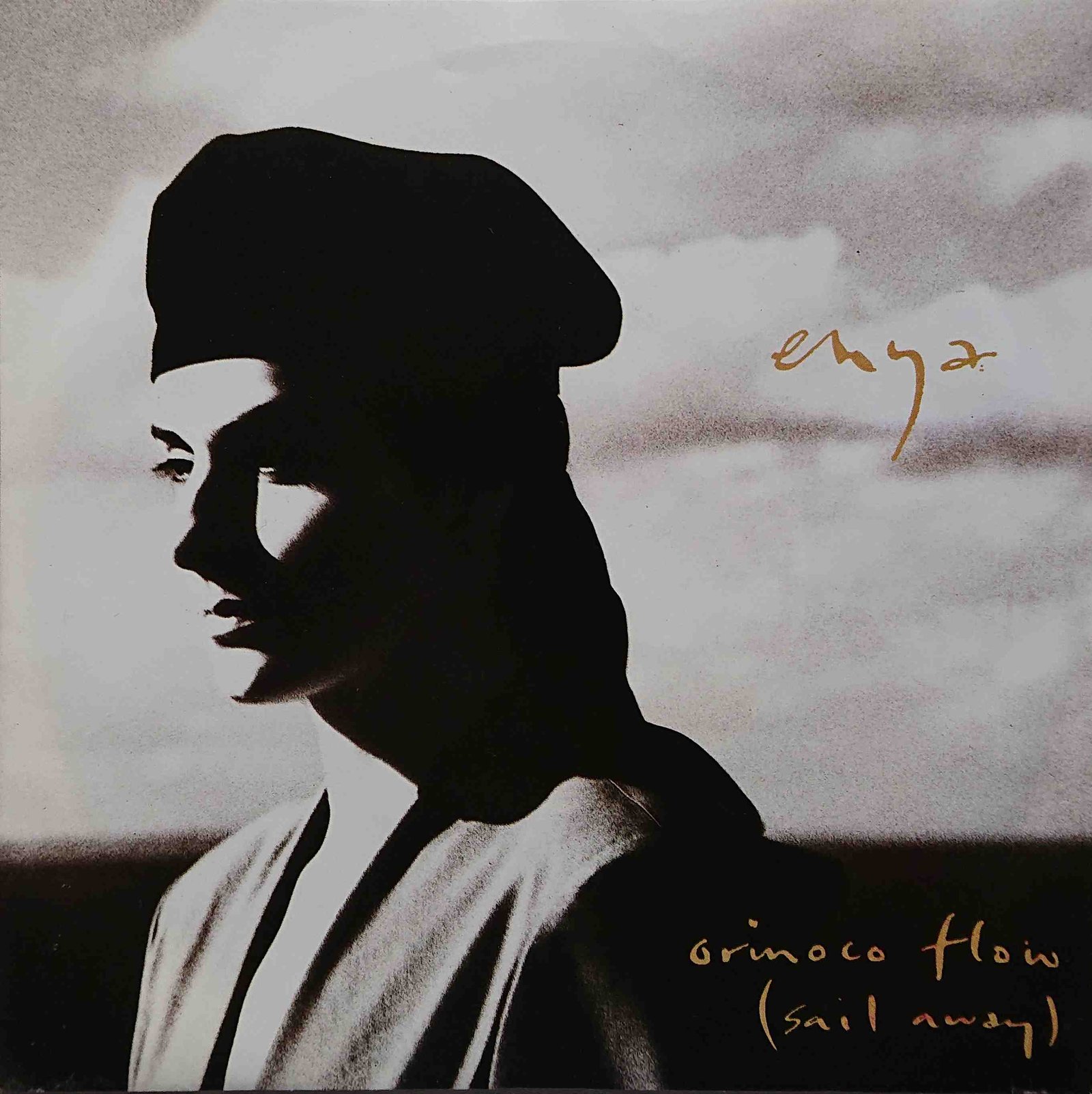 Picture of YZ 312 Orinoco flow (Sail away) by artist Enya